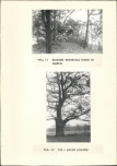 Ewidencja parkowa, skan nr 20