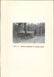 Ewidencja parkowa, skan nr 21
