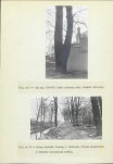 Ewidencja parkowa, skan nr 19