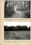 Ewidencja parkowa, skan nr 30