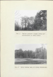 Ewidencja parkowa, skan nr 15