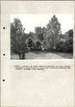 Ewidencja parkowa, skan nr 35