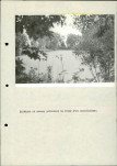 Ewidencja parkowa, skan nr 48