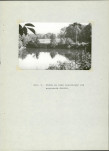 Ewidencja parkowa, skan nr 16