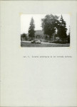 EP - Ewidencja parkowa, skan nr 11