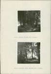 Ewidencja parkowa, skan nr 26