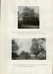 Ewidencja parkowa, skan nr 29