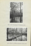 Ewidencja parkowa, skan nr 33