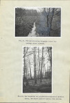 Ewidencja parkowa, skan nr 38