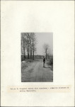 Ewidencja parkowa, skan nr 20