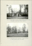 Ewidencja parkowa, skan nr 16