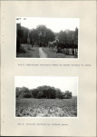 EP - Ewidencja parkowa, skan nr 29