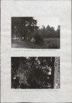 Ewidencja parkowa, skan nr 27