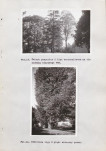 EP - Ewidencja parkowa, skan nr 34