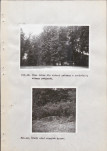 EP - Ewidencja parkowa, skan nr 38