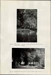 Ewidencja parkowa, skan nr 33