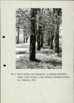 Ewidencja parkowa, skan nr 11