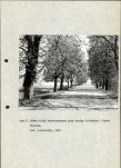 Ewidencja parkowa, skan nr 13