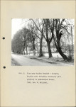 EP - Ewidencja parkowa, skan nr 13