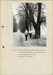 EP - Ewidencja parkowa, skan nr 14