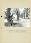 Ewidencja parkowa, skan nr 22