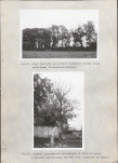 Ewidencja parkowa, skan nr 30