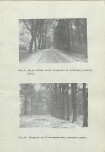 Ewidencja parkowa, skan nr 47