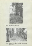 Ewidencja parkowa, skan nr 48