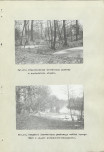Ewidencja parkowa, skan nr 50