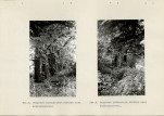 Ewidencja parkowa, skan nr 39