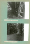 Ewidencja parkowa, skan nr 17