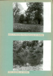 Ewidencja parkowa, skan nr 19