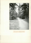 Ewidencja parkowa, skan nr 23