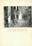Ewidencja parkowa, skan nr 24