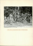 Ewidencja parkowa, skan nr 26