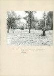 Ewidencja parkowa, skan nr 29