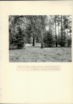 Ewidencja parkowa, skan nr 31
