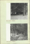 Ewidencja parkowa, skan nr 23