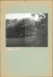 Ewidencja parkowa, skan nr 22