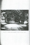 Ewidencja parkowa, skan nr 22