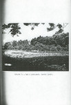 Ewidencja parkowa, skan nr 24