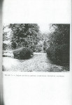 Ewidencja parkowa, skan nr 25