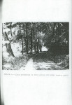 Ewidencja parkowa, skan nr 26