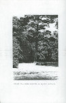 Ewidencja parkowa, skan nr 28