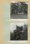 Ewidencja parkowa, skan nr 19