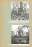 Ewidencja parkowa, skan nr 20