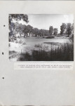 Ewidencja parkowa, skan nr 56