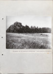 Ewidencja parkowa, skan nr 64