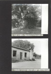Ewidencja parkowa, skan nr 22