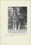 Ewidencja parkowa, skan nr 27